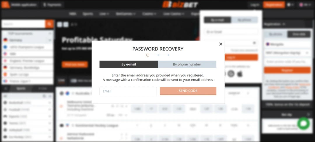 Image of Bizbet Account Recovery Page